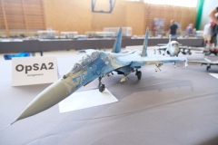 IV-Konkurs-Modeli-Kartonowych-i-Plastikowych-Scinawka-Srednia-2024-81