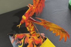 IMG_20240630_110512