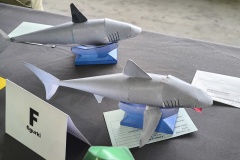 IMG_20240630_110535