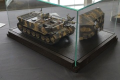 IMG_20240630_111112