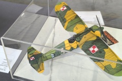 IMG_20240630_111612