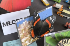 IMG_20240630_112154