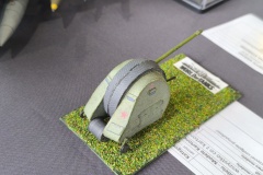 IMG_20240630_112304