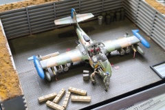 IMG_20240630_112905