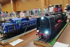 IV_Wloclawski_Festiwal_Modelarskki_2021_206