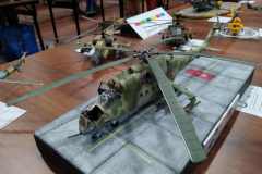 IV_Wloclawski_Festiwal_Modelarskki_2021_425