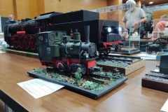 IV_Wloclawski_Festiwal_Modelarskki_2021_005