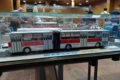 IV_Wloclawski_Festiwal_Modelarskki_2021_020