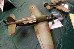 Chelmza_2021_018