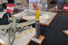 Konkurs-Modeli-Kartonowych-Nowy-Tomysl-2025-099