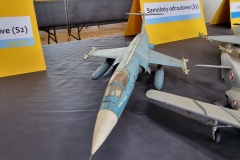 Konkurs-Modeli-Kartonowych-Nowy-Tomysl-2025-311