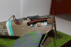 IMG_8899