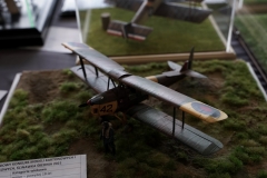 Scinawka_Srednia_2021_131