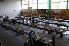 Scinawka_Srednia_2021_161