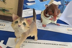 IMG_20251011_114241