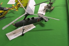 IMG_20251011_115618