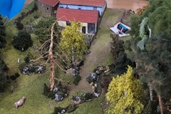 IMG_20251011_120639
