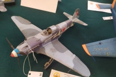 MP_Modeli-Kartonowych_Olesnica_2021_foto_Wojtek_Lizakowski_030