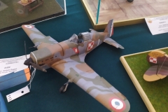 MP_Modeli-Kartonowych_Olesnica_2021_foto_Wojtek_Lizakowski_032