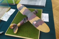 MP_Modeli-Kartonowych_Olesnica_2021_foto_Wojtek_Lizakowski_033