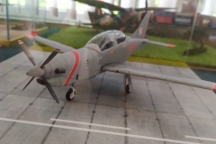 MP_Modeli-Kartonowych_Olesnica_2021_foto_Wojtek_Lizakowski_038