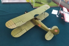 MP_Modeli-Kartonowych_Olesnica_2021_foto_Wojtek_Lizakowski_041