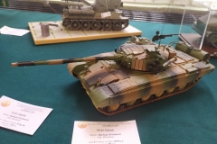 MP_Modeli-Kartonowych_Olesnica_2021_foto_Wojtek_Lizakowski_057