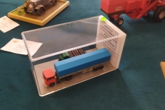 MP_Modeli-Kartonowych_Olesnica_2021_foto_Wojtek_Lizakowski_126