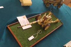 MP_Modeli-Kartonowych_Olesnica_2021_foto_Wojtek_Lizakowski_129