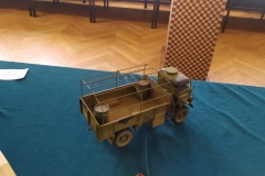 MP_Modeli-Kartonowych_Olesnica_2021_foto_Wojtek_Lizakowski_131