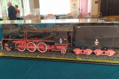 MP_Modeli-Kartonowych_Olesnica_2021_foto_Wojtek_Lizakowski_147