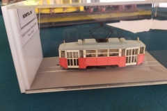 MP_Modeli-Kartonowych_Olesnica_2021_foto_Wojtek_Lizakowski_151