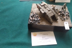 MP_Modeli-Kartonowych_Olesnica_2021_foto_Wojtek_Lizakowski_167