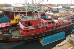 MP_Modeli-Kartonowych_Olesnica_2021_foto_Wojtek_Lizakowski_191