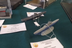 MP_Modeli-Kartonowych_Olesnica_2021_foto_Wojtek_Lizakowski_199