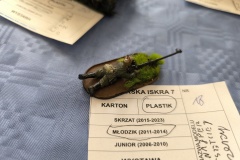 IMG_20240413_121458