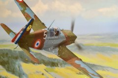 Morane_Saulnier_406C1_WAK_inbox__01