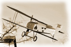 Tummelisa-BW-6
