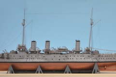 Baltyk-bezzebny-tygrys-100