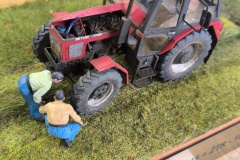 IMG_20240511_103831