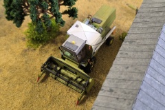 IMG_20240511_103848