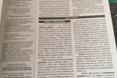 Polski-samochod-pancerny-Wz34-Kartonowa-Kolekcja-inbox-03