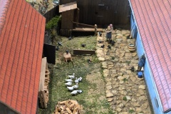 IMG_20250628_155205