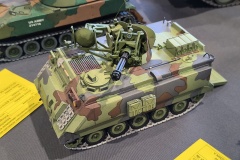 IMG_20250628_155248