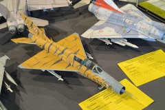 IMG_20250628_155856