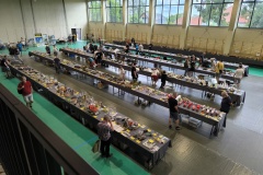 IMG_20250629_124810