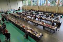 IMG_20250629_124819