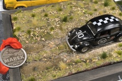 IMG_20260510_110438