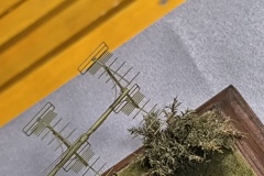 IMG_20260510_112232