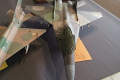 IMG_20220702_143728251